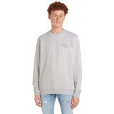 Tommy Jeans TJM Reg Essential Graphic Crew Sweatshirts voor heren, Zilver Grijs, S