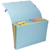 Exacompta - Ref. 58560E - 1 Sorteermap Aquarel pastel in karton - veelkleurige - met 12 vakken - elastosluiting - formaat 34x24,5cm voor A4 documenten - willekeurige kleuren