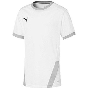 PUMA Kinder TeamGoal 23 Jersey jr T-shirt, wit-grijs violet, 128