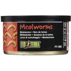 Exo Terra gekookte meelwormen uit de doos, enkel voer voor reptielen, 34 g