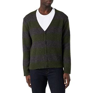 Sisley Heren L/S Cardigan 123RS600D Sweater, Groen en Grijs Gestreept 912, S