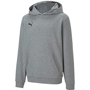 PUMA Unisex Kinder, teamGOAL 23 Casuals Hoody Jr Hoodie, Medium Gray Heather, 164