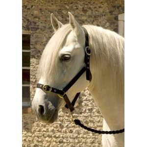 Snowhill Paarden Nylon Halsband Navy Full