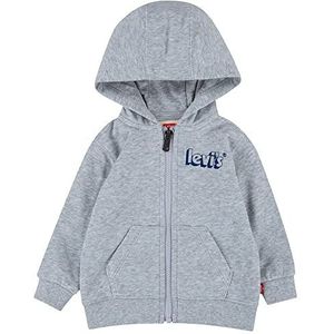 Levi's Kids Logo Full Zip Hoodie Baby Jongens, Licht Grijsheide