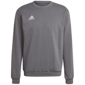 adidas Heren Entrada 22 Sweatshirt, Team Grey Four, M