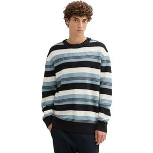TOM TAILOR Denim heren trui, 36864 - White Mint Black Multi Strepe, XL