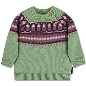 Sterntaler Meisjes GOTS gebreide Noorse trui, groen, 80