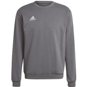 adidas Heren sweatshirt (lange mouwen) ent22 Sw Top, Team Grey Four, H57479, LT