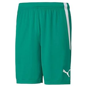 TeamLIGA Shorts, Pepper Green-Puma Wh, USL