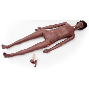 3B Scientific Patiënt Care manicure BASIC (donkere huidtint)