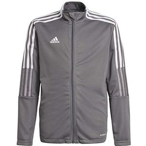 Adidas Tiro21 Tk Jkt Y babypakje, uniseks