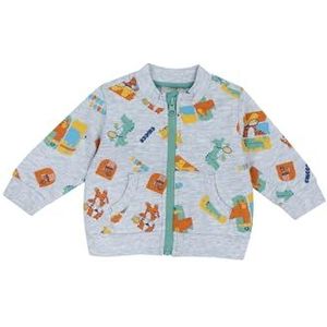 Chicco, Sweatshirt voor pasgeborenen en baby's, met comfortabele ritssluiting, van zacht katoen, ideaal voor lente en herfst, ontworpen in Italië, babykleding en pasgeborenen van 0-24 maanden, Grijs