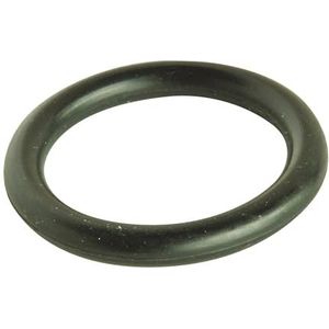 SOMATHERM FOR YOU - CJ820 - set van 2 O-ringen nr. 24