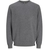 R.D.D. - RDDBROOKS - Trui - Grijs - Knitwear - Lange Mouw