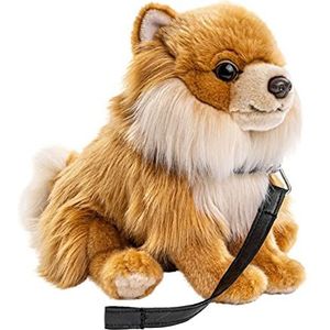 Uni-Toys - Dwergpunt met riem, zittend - 23 cm (hoogte) - pluche hond, kant, huisdier - pluche dier, knuffeldier