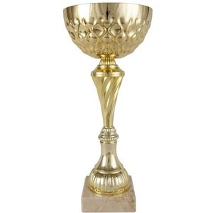 Art-Trophies AT12806 Sporttrofee voor volwassenen, uniseks, goudkleurig, 23 cm