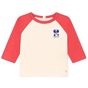 Petit Bateau ML AVA/OU6M Unisex Baby T-shirt, Avalanche/Oursin, 24M 24meses