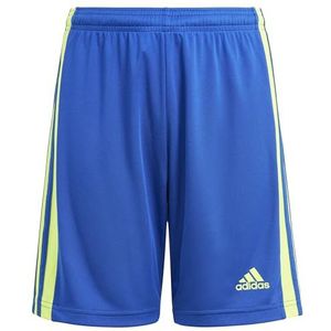 adidas Jongens Squadra 21 Shorts, team royal blue/team solar yellow/team royal blue, 5-6 Years