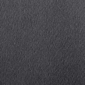 Clairefontaine 93870C Tekenpapier Etiket (DIN A4, 21 x 29,7 cm, 160 g, ideaal voor droogtechnieken, verpakking van 25 stuks) zwart
