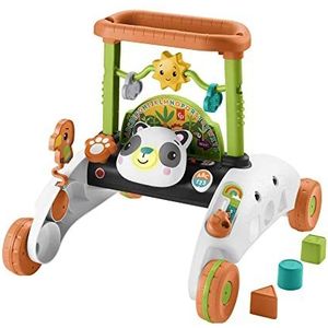 Fisher-Price HJY73 2-zijdige Panda Walker Groeiend interactief speelcentrum met meer dan 100 liedjes, geluiden en zinnen Babyspeelgoed voor kinderen vanaf 6 maanden