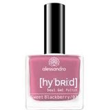 alessandro HYBRID Lak Sweet Blackberry - licht glinsterende lila roze - In slechts 3 stappen - perfecte nagels zonder LED -tot 10 dagen houd! 8 ml