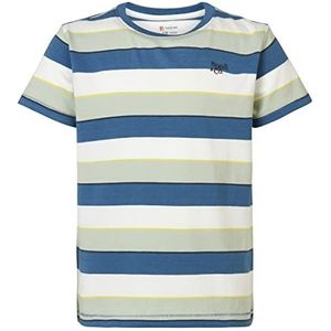 Noppies Kids Jongens Tea Reidland Short Sleeve Stripe T-shirt, Pristine-N021, 116, Pristine - N021, 116 cm