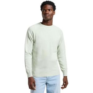 Lee - Clean Raglan - Trui - Soft Sage - Normale Pasvorm - Lange Mouwen