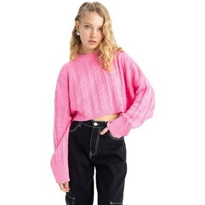 DeFacto Trui normale pasvorm voor dames - coltrui trui voor dames (roze, S), roze, S