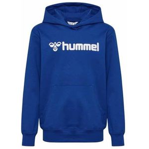 hmlGO - 2.0 LOGO HOODIE - Kinderen - Zwart - Biologisch Katoen en Gerecycled Polyester