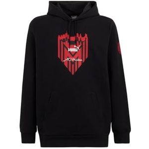 PUMA Felpa Con Cappuccio Ftlbicons Sweatshirt met capuchon voor heren, Zwart, 152