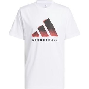 adidas Heren adidas Basketball Graphic T-Shirt, white, XXL