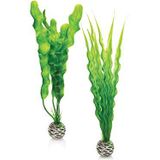 biOrb 46056 Easy Plant, Medium, Pak van 2, Groen, 35 x 12.07 x 4.45 cm