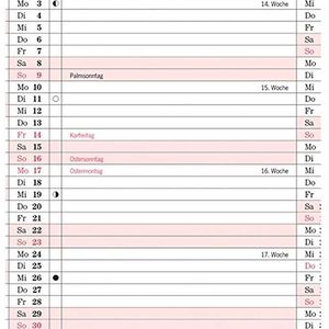 Filofax 22-68276 Professional Pocket jaarplanner Duits verticaal 2022, wit/roze
