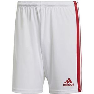 adidas shorts GN5770 Heren