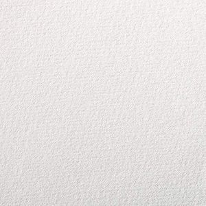 Clairefontaine 93890C tekenpapier à grain (160 g, korrelig, ideaal voor droogtechnieken, 25 vellen, DIN A4, 21 x 29,7 cm) wit