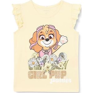 NAME IT Meisjes NMFMELISA PAWPATROL SS TOP CPLG T-shirt, Orchid Bloom, 86, Orchid Bloom, 92 cm