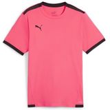 PUMA Unisex Kids Teamliga Jersey Jr Shirt