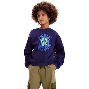 Desigual Arthur Cardigan Sweater voor jongens, blauw, XL