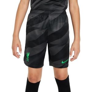 Nike LFC Y Nk DF Stad Short Gk Shorts, antraciet/gifgroen, 12-13 lat, uniseks, kinderen, antraciet/gifgroen, 12-13 lat