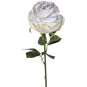 LEONARDO HOME Rose Poesia 67 cm beige set van 12, kunststof