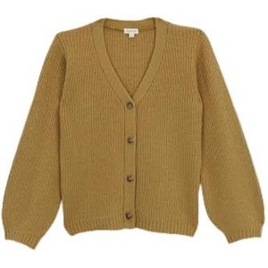 Gocco Gebreid sweatshirt, standaard voor meisjes, Mosterd, 11-12 Jaren