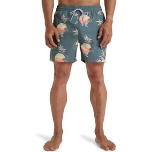 BILLABONG Vacay LB Zwembroek voor heren, 1 stuk