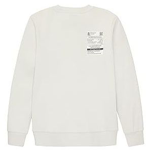 TOM TAILOR Sweatshirt voor jongens en kinderen, 32257, grijs-wit, 176 cm