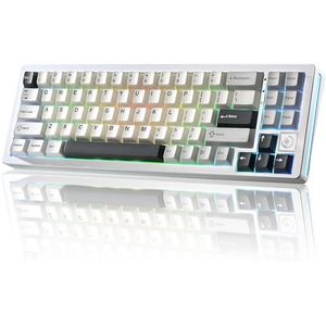 YUNZII AL71 68% mechanisch toetsenbord, all-aluminium CNC, hot-swap-ring, 2,4 GHz draadloze BT5.0/USB-C kabel-gaming-toetsenbord, NKRO RGB, voor Win/Mac (zilver, Crystal White Switch)