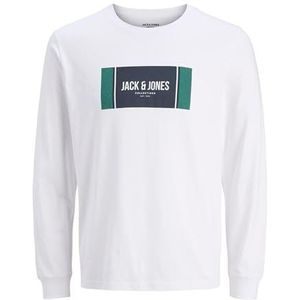 JACK & JONES - JJHAYATO - Shirt - Navy / Turquoise / Wit