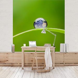Apalis Vliesbehang groene hoop fotobehang vierkant | fleece behang wandbehang foto 3D fotobehang voor slaapkamer woonkamer keuken | Grootte: 288x288 cm, meerkleurig, 97726