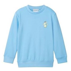 TOM TAILOR Sweatshirt voor jongens, 22501 - Japanse hemel, 104/110 cm