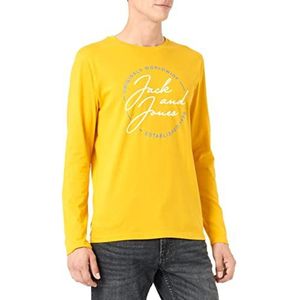 Jack & Jones JORJERRYS Tee LS Crew Neck FST T-shirt, Golden Rood/Print: Big, L