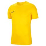 Nike Heren Short Sleeve Top M Nk Df Park Vii Jsy Ss, Giallo_Grigio_Nero, BV6708-719, 2XL