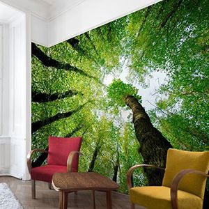 Apalis Bosbehang vliesbehang bomen van het leven fotobehang bos breed | vlies behang wandbehang foto 3D fotobehang voor slaapkamer woonkamer keuken | groen, 94556